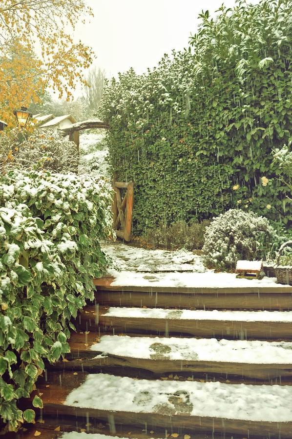Hosteria Baerenhaus San Martin de los Andes Exterior photo